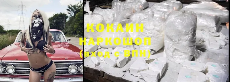 ссылка на мегу ТОР  дарнет шоп  Александровск-Сахалинский  Cocaine FishScale 