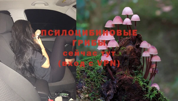 СК Осташков