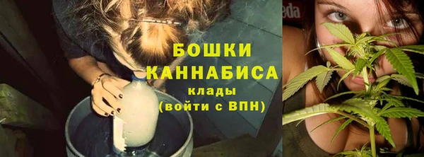 дживик Нягань