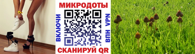 наркота  Александровск-Сахалинский  Псилоцибиновые грибы Magic Shrooms 